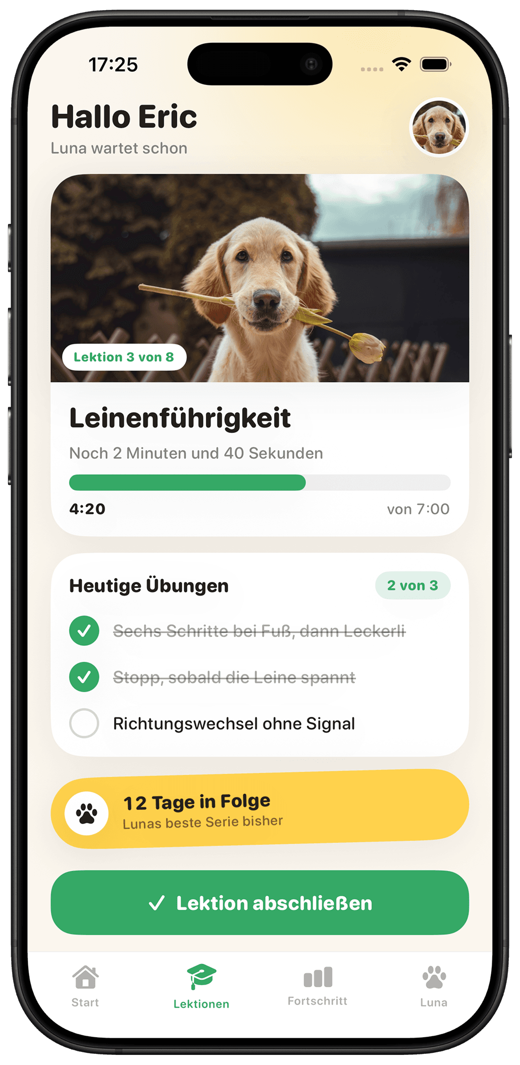 App-Ansicht eines digitalen Produkts im Bereich Hundetraining